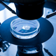 Imagen: Science Photo Library